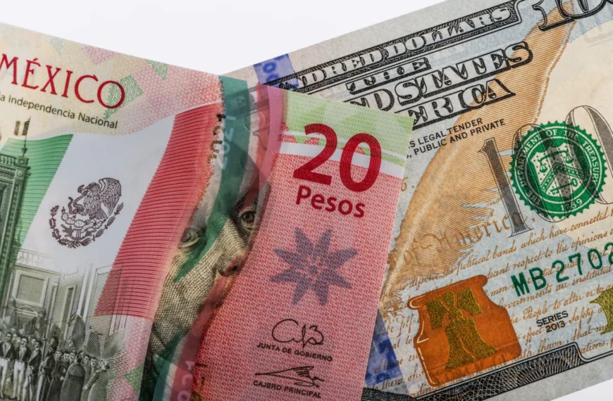 Temores políticos en México: 20 pesos por dólar este 5 de septiembre