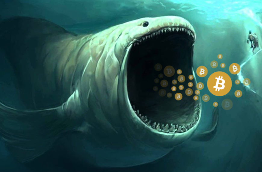 Las ballenas con más Bitcoin en el mundo
