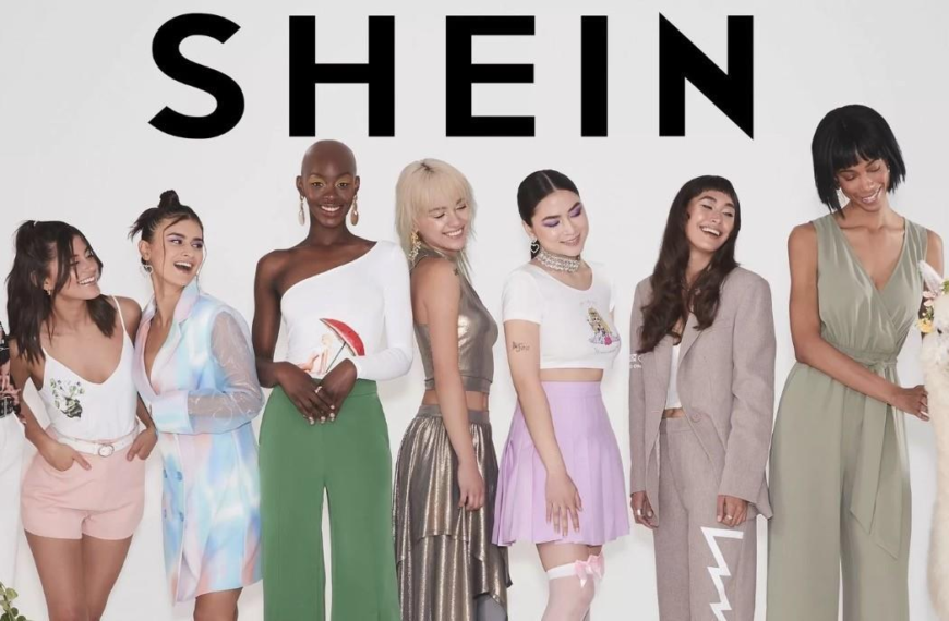dinero con shein