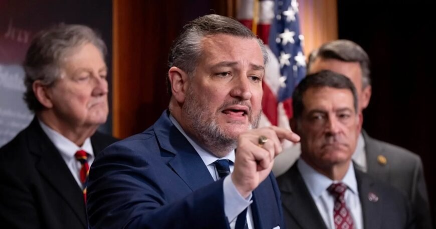 ¿Quiénes son los candidatos al Senado de Texas?