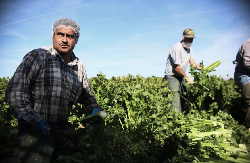 trabajador inmigrante indocumentado