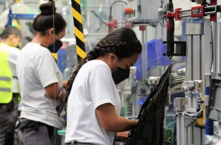 ¿Qué es la Ley Silla en México?