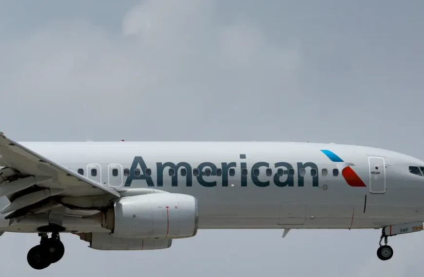 ¿Qué pasó con los vuelos de American Airlines?