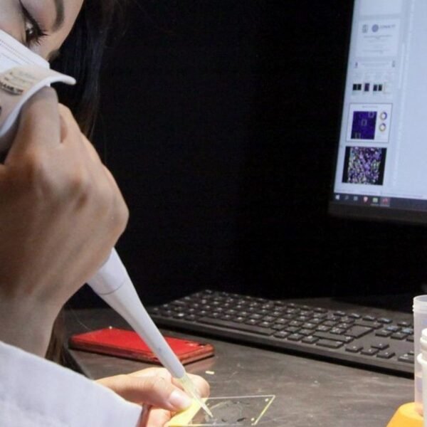 ¿Por qué suspenden empresa de alimentos para bebés…