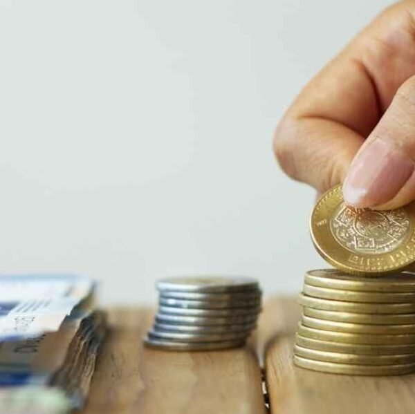 México//Conoce el salario mínimo en la Zona Libre…