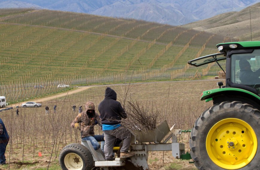 Amenaza sobre los migrantes trabajadores agrícolas en Estados&hellip;