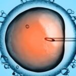 clínicas de fertilidad en México