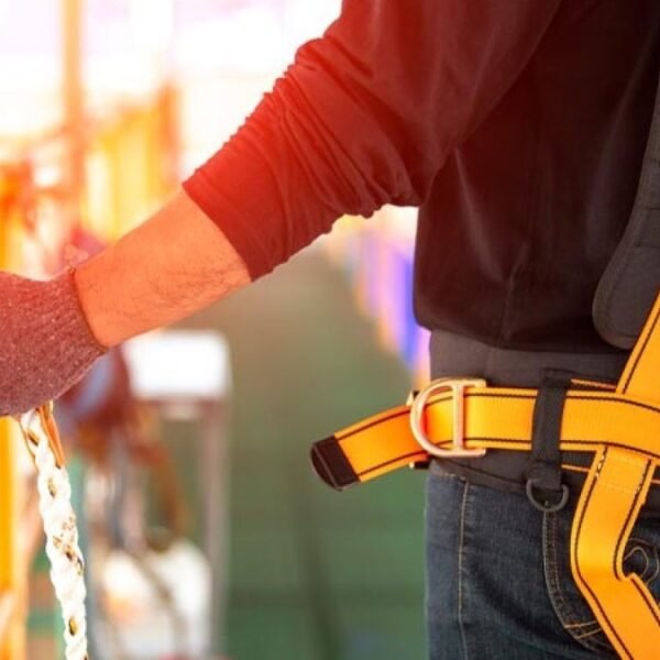 Fuerza Laboral en Estados Unidos récord en enero…