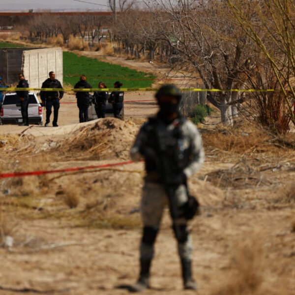 La reacción de los cárteles tras el decreto…