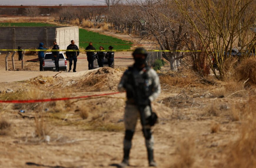 La reacción de los cárteles tras el decreto&hellip;