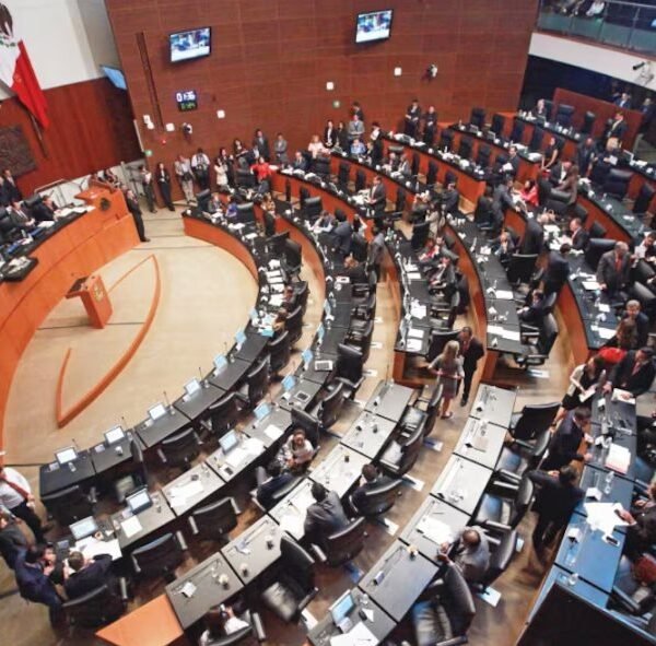 Reforma constitucional en la simplificación administrativa y digital&hellip;