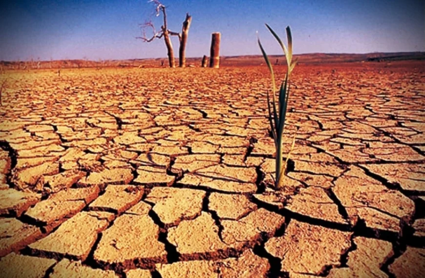 Texas presiona en guerra por el agua de&hellip;