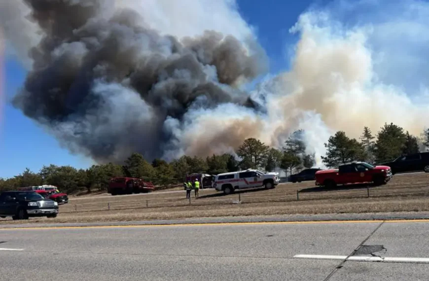 Los incendios forestales en Long Island: Terror y&hellip;