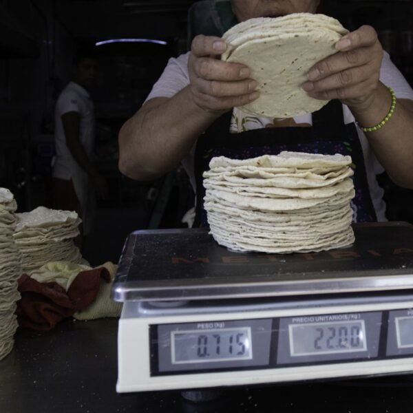 El precio de la tortilla en México podría&hellip;