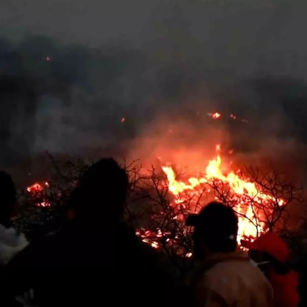 Incendio forestal en Oaxaca consume 500 hectáreas