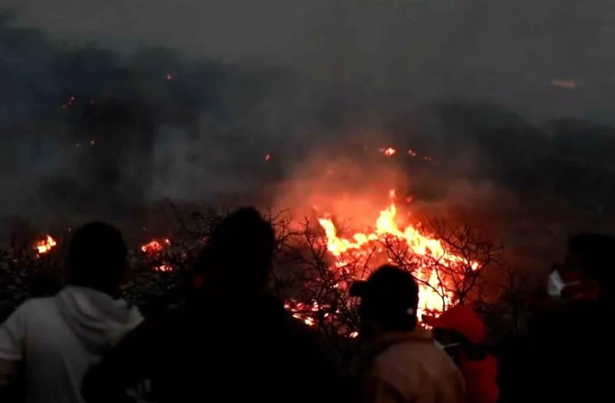 Incendio forestal en Oaxaca consume 500 hectáreas