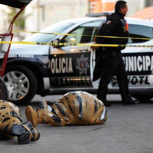 Estos son los cárteles mexicanos en la actualidad