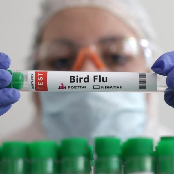 Primera muerte por H5N1 en México