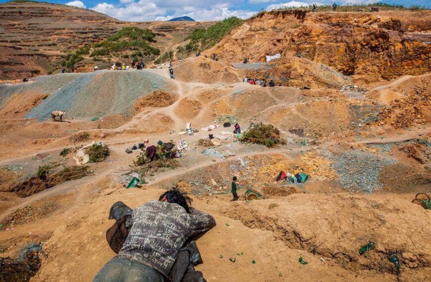 Las tierras raras de China: el…