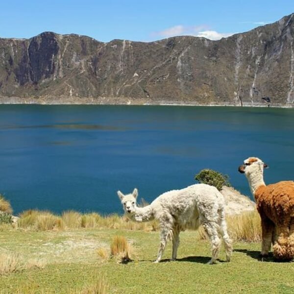 Cómo viajar barato por América Latina