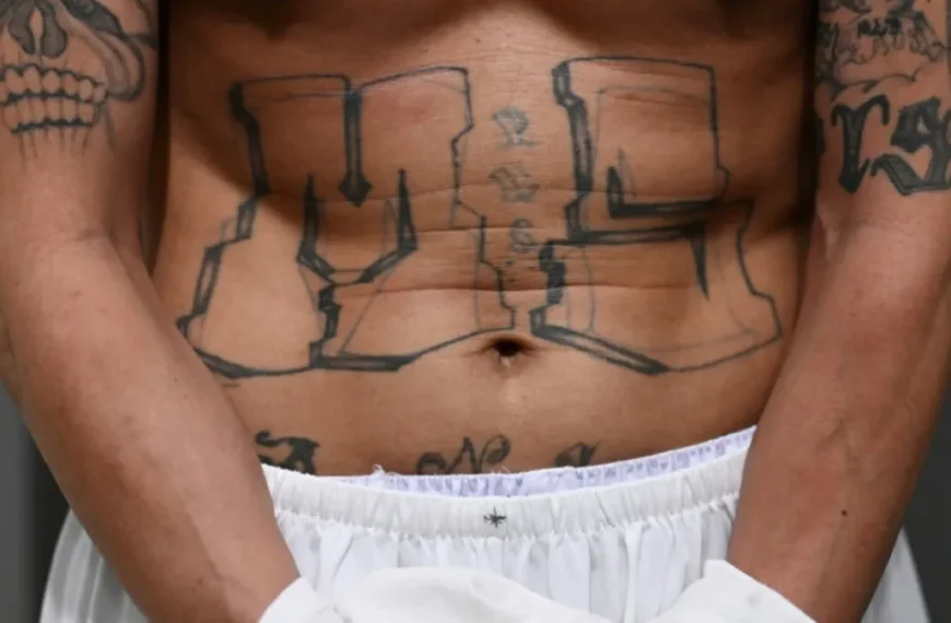 ¿Qué es la Ranfla Nacional del&hellip;