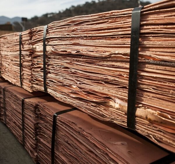 Estados Unidos impone un arancel del 50% al…