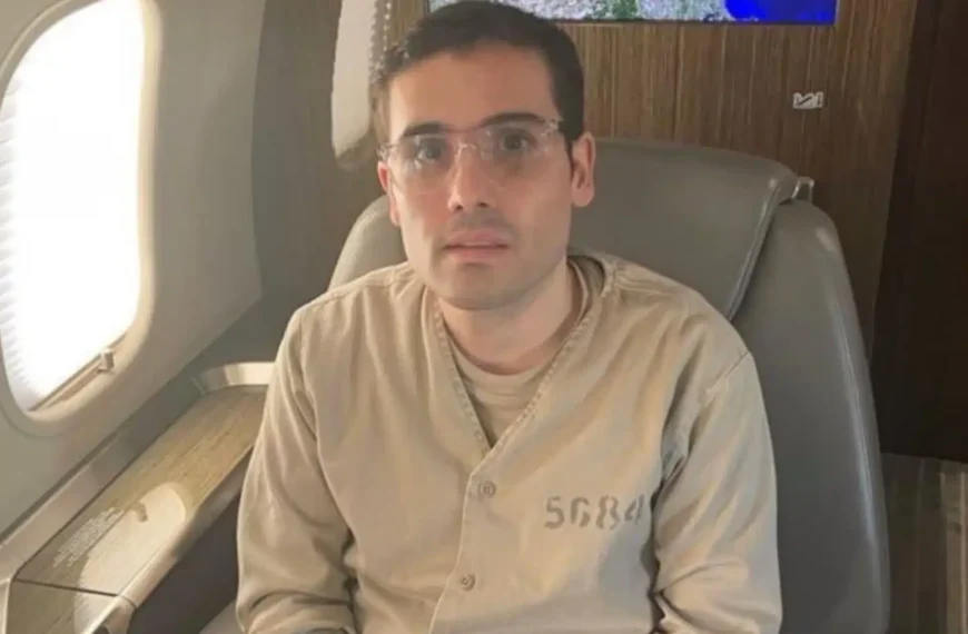 Audiencia de Ovidio Guzmán: ¿Está cerca&hellip;