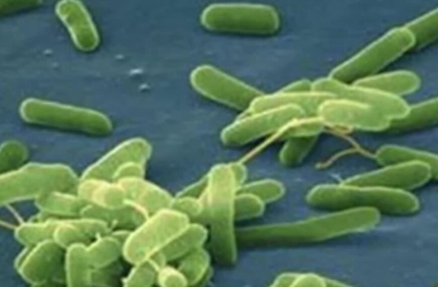 Mueren dos personas por bacteria comecarne…