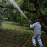 35 plaguicidas prohibidos en México por orden ejecutiva