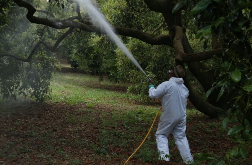 35 plaguicidas prohibidos en México por…