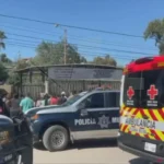 Intoxicación de niños en escuelas de Tijuana: ¿Cuál fue la causa?