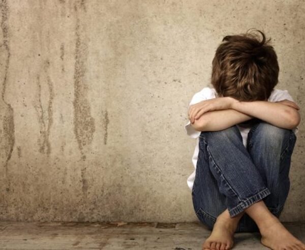 Registro Público de Personas Agresoras Sexuales en Guanajuato