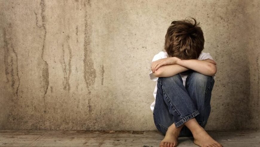 Registro Público de Personas Agresoras Sexuales en Guanajuato