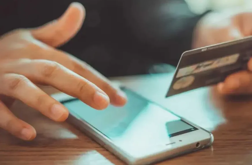 usuarios y saldos de Vector en México